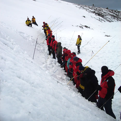 Avalanche Training & Advice